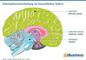 Informationsverarbeitung im menschlichen Gehirn